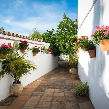 Appartement Turisticos Cabo Roche *