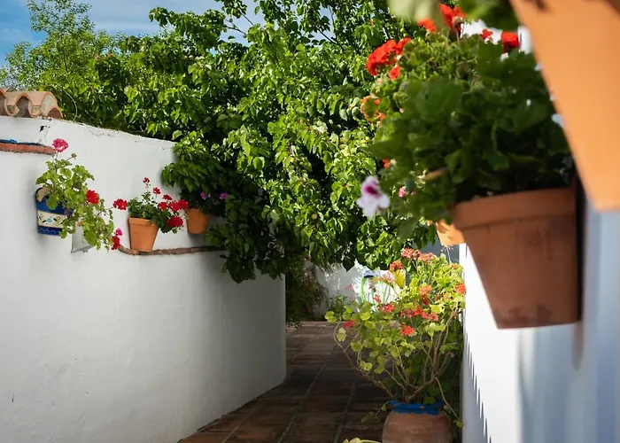 Turisticos Cabo Roche Апартаменты